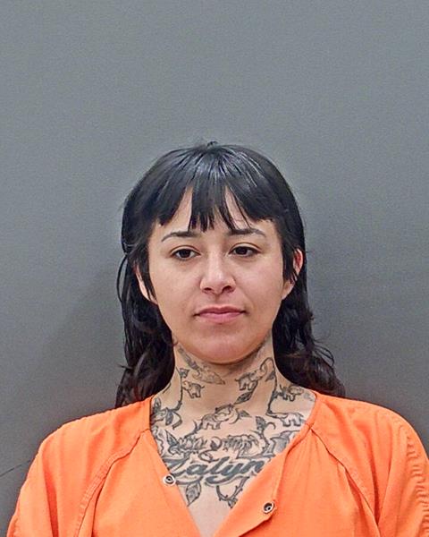Mugshot of SHEENA FAITH KOPKA