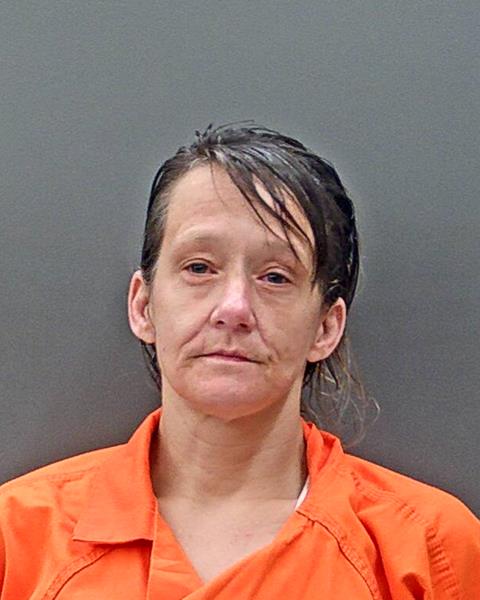 Mugshot of SONYA RENEE TERRY