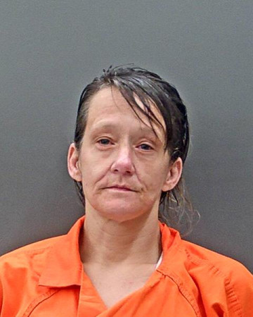 Mugshot of SONYA RENEE TERRY