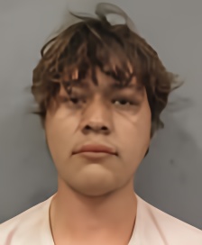 Mugshot of TRINIDAD JR GONZALEZ