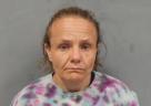 Mugshot of MICHELE D TINGLE