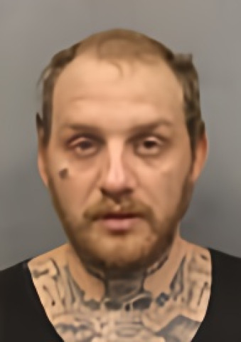 Mugshot of ANTHONY TAYLOR ROMANS