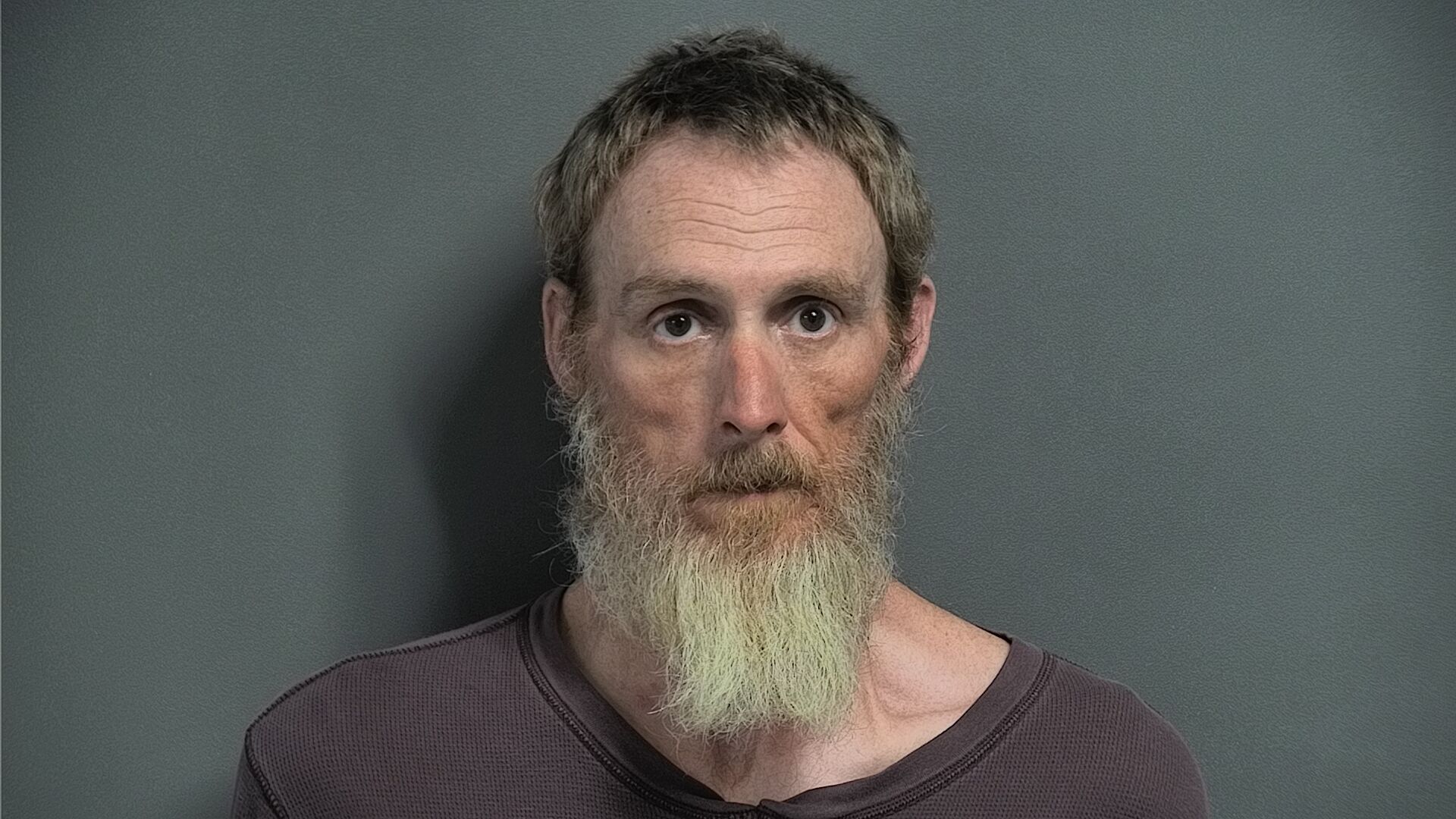 Mugshot of ANDREW DAVID PEYREGNE