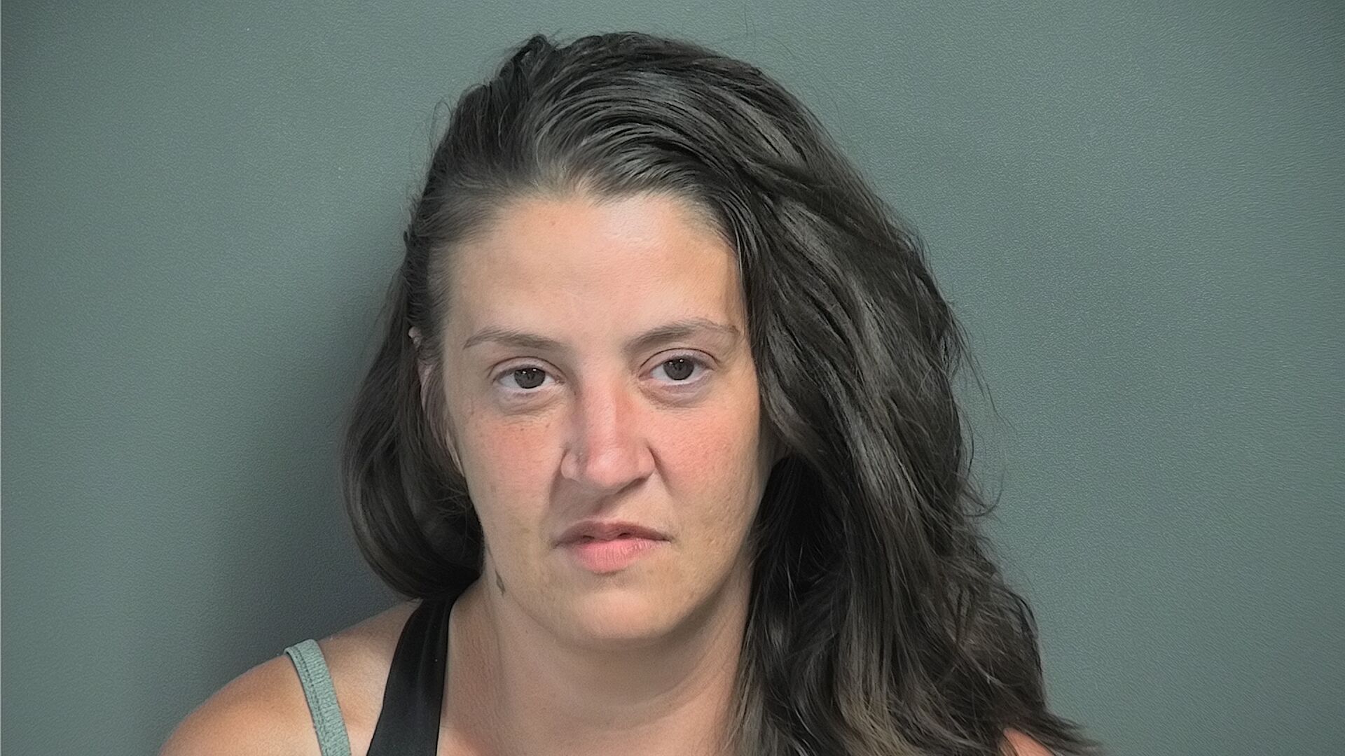 Mugshot of SADIE LEE FIELDS