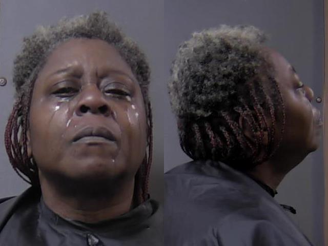 Mugshot of Denise L English