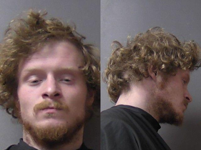 Mugshot of Briar Austin Lifford