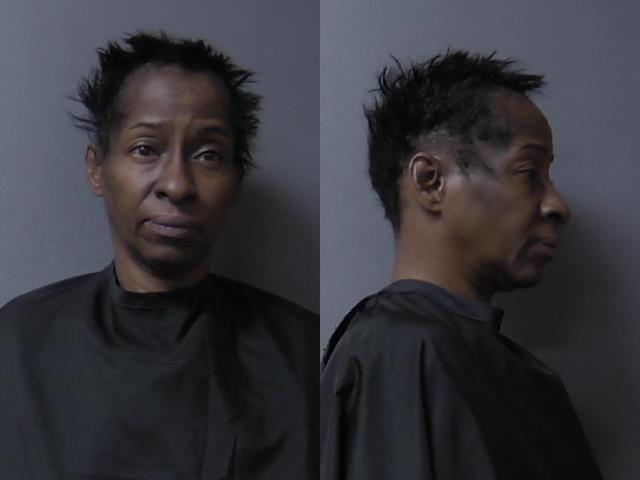Mugshot of Terry Ann Sadberry