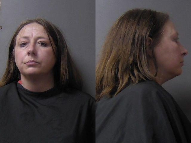 Mugshot of Ara Elise Weir