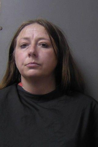 Mugshot of Ara Elise Weir