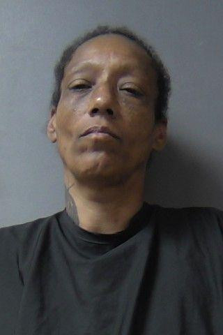 Mugshot of Dena Laverne Johnson