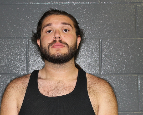 Mugshot of AARON JAMES FISH