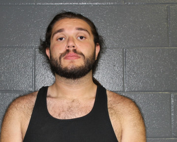 Mugshot of AARON JAMES FISH