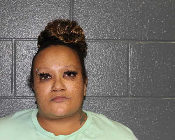 Mugshot of JESSICA MICHELLE POTTER