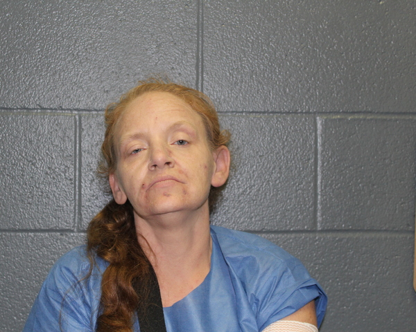 Mugshot of TISHA ANN JOHNSON