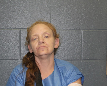 Mugshot of TISHA ANN JOHNSON
