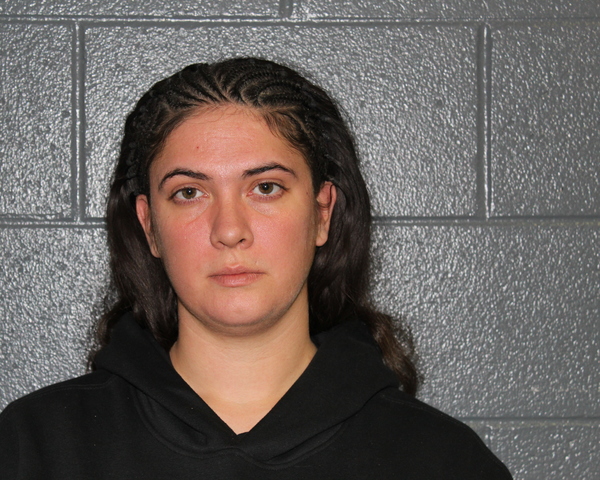 Mugshot of SELENA BRIANNE PALMER