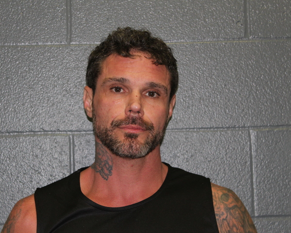 Mugshot of WAYNE LEE MYERS