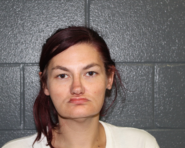 Mugshot of JESSICA LYNN HINDERS