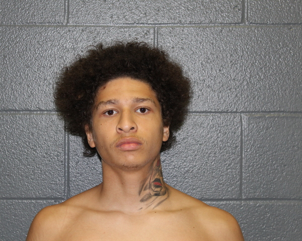 Mugshot of DAVID OMAR NARDUCCI