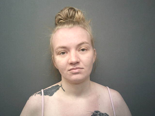 Mugshot of JOLYNN HAUSDORFER