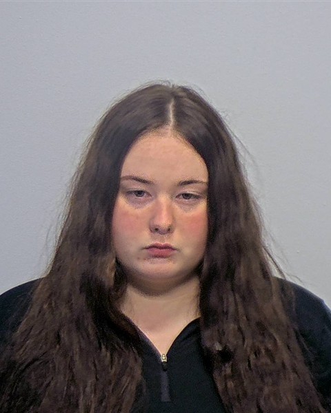 Mugshot of Alyssa Fay Jeanne Casalin