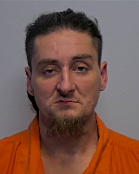 Mugshot of NICHOLUS THOMAS WILKE
