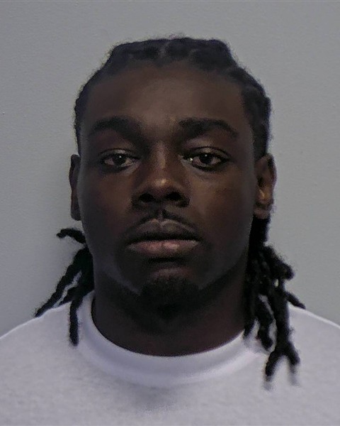 Mugshot of David Alvin JR Johnson
