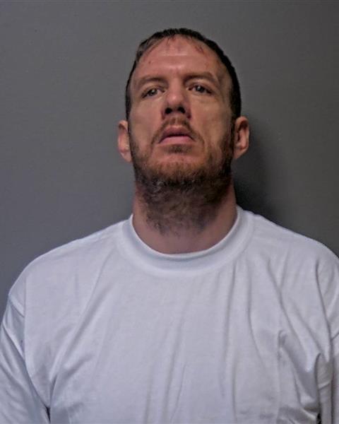 Mugshot of Andy Joe Richardson