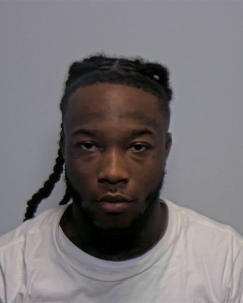 Mugshot of Brian Dwight Young