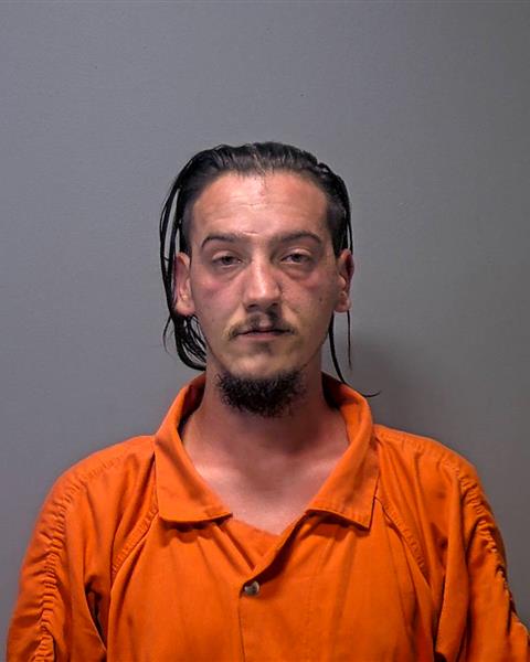 Mugshot of David John Litzau
