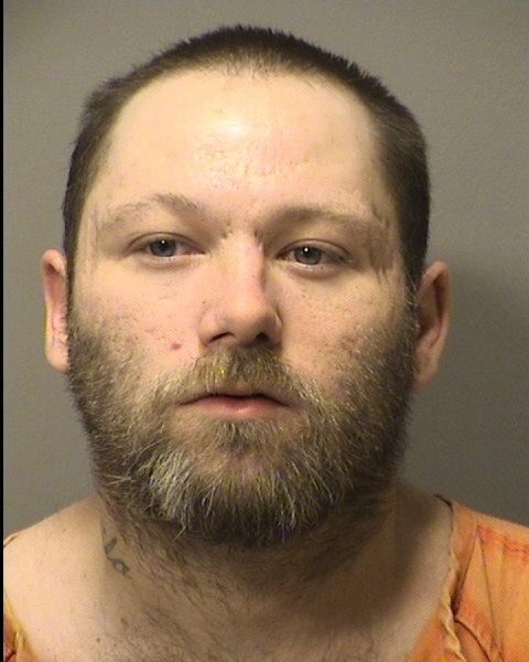 Mugshot of MICHAEL JAMES FEENEY