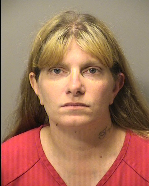 Mugshot of Theresa Ann Dominiak