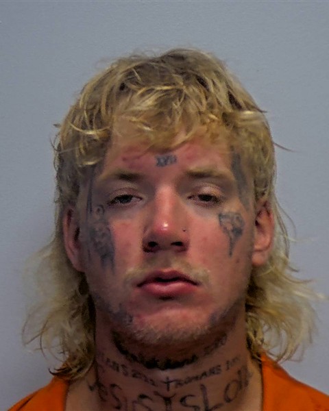 Mugshot of Colin Devere Gibbons