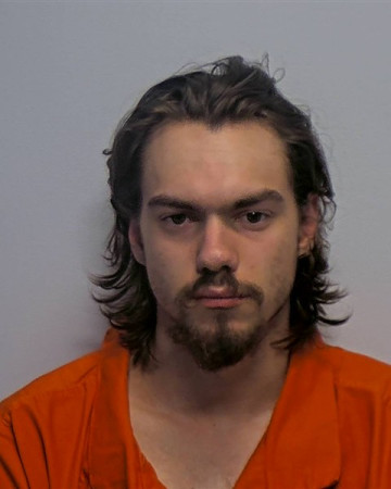 Mugshot of Alexander Werner Paul