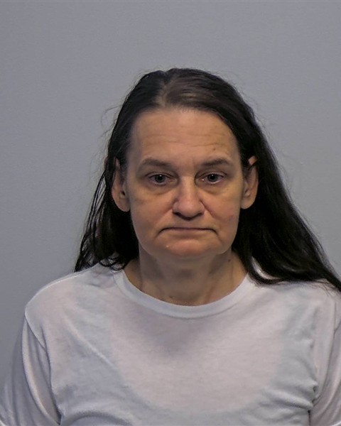 Mugshot of Denise Marie Reinschreiber