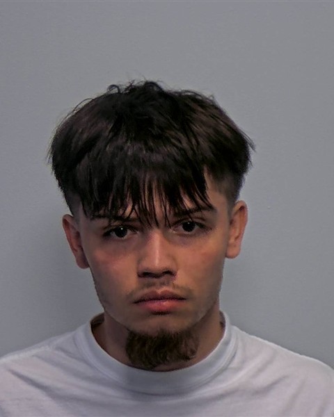 Mugshot of Patrick Allen Varney