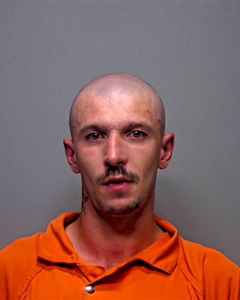 Mugshot of Michael Ryan Menear