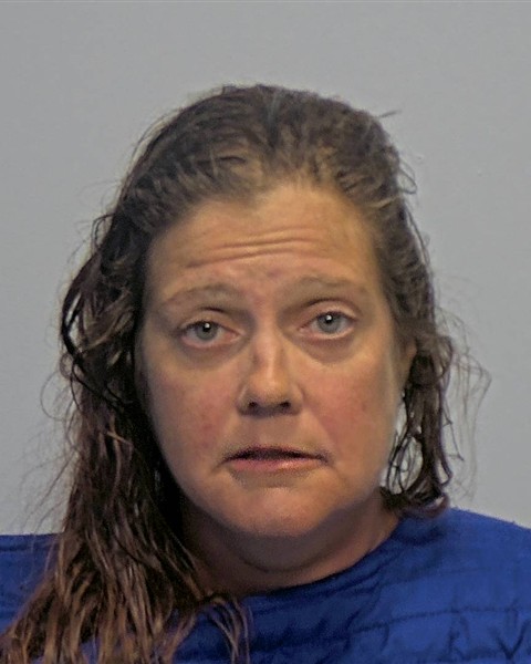 Mugshot of Melissa Sue Lloyd