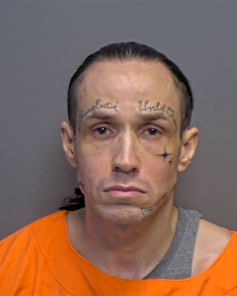 Mugshot of Travis Shea Hornett