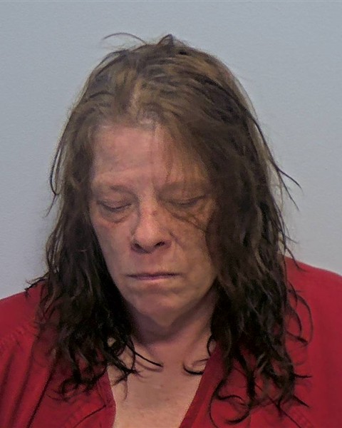 Mugshot of Heather Jo Hill