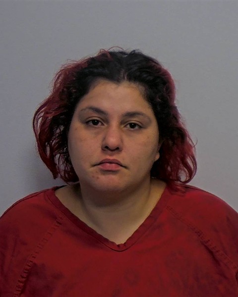Mugshot of Desirae Anna Delvalle