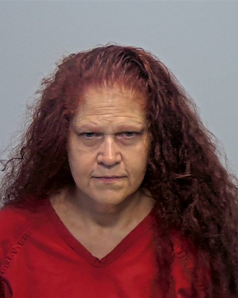 Mugshot of Lisa Jo Fitzpatrick