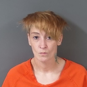 Mugshot of Amanda Lynn Fader