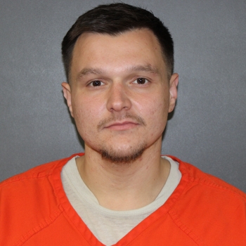 Mugshot of Brayton Warren Irvin