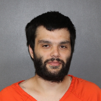 Mugshot of Trystien Lee Boswell