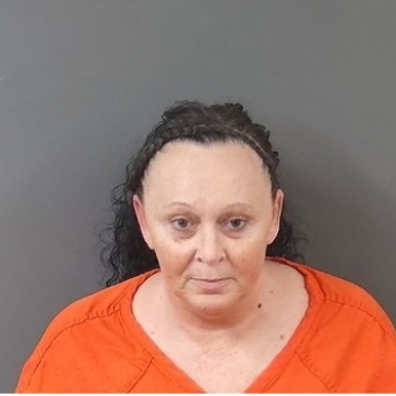 Mugshot of Brandi Nicole Anderson