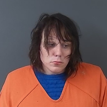 Mugshot of Vivian Noelle Emberton