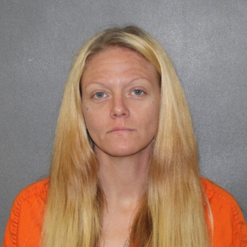 Mugshot of Michelle Lee Lubiniecki