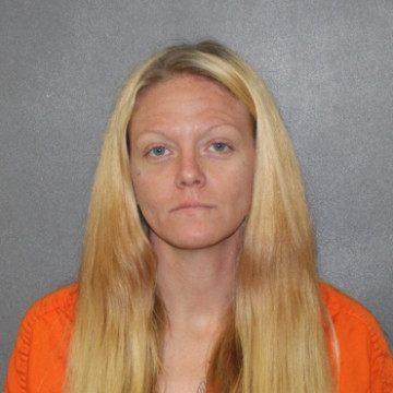 Mugshot of Michelle Lee Lubiniecki