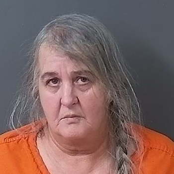 Mugshot of Tina Louise Fiscus